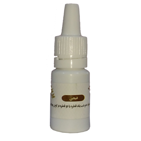 فیجن